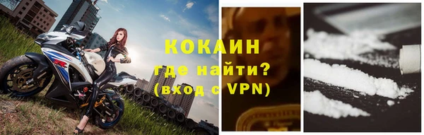 стаф Надым