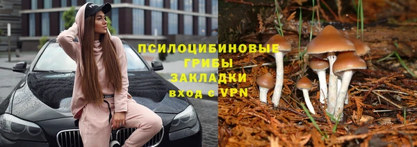 стаф Надым