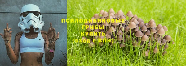 стаф Надым