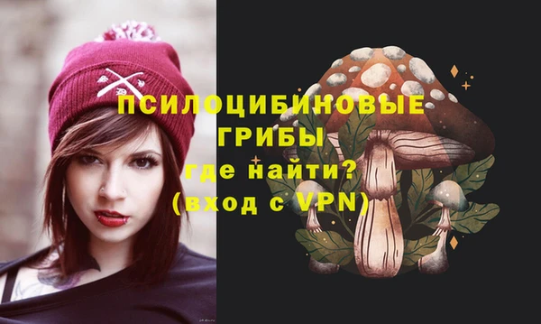 дурь Наволоки