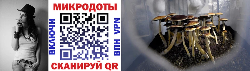 Галлюциногенные грибы мухоморы  даркнет сайт  МЕГА как войти  Суоярви 